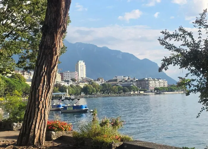 Appartement Confortable En Centre *