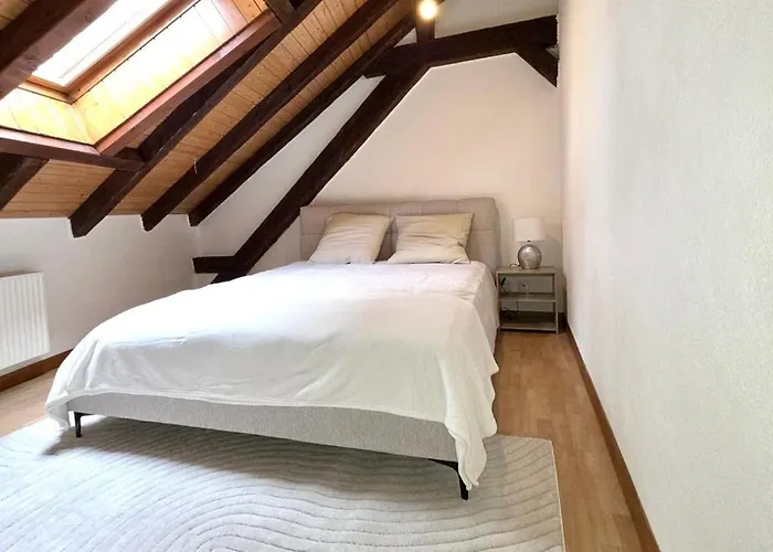 Confortable En Centre * モントルー